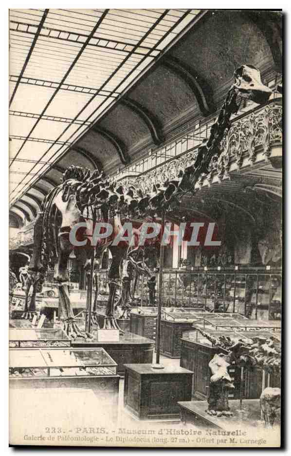CPA Paris Museum d'Histoire naturelle Galerie de Paleontologie Le diplodocus Dinosaure