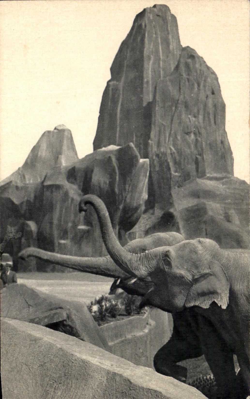 CPA Museum National D'Histoire Naturelle Parc Zoologique Du Bois De Vincennes Paris Elephant