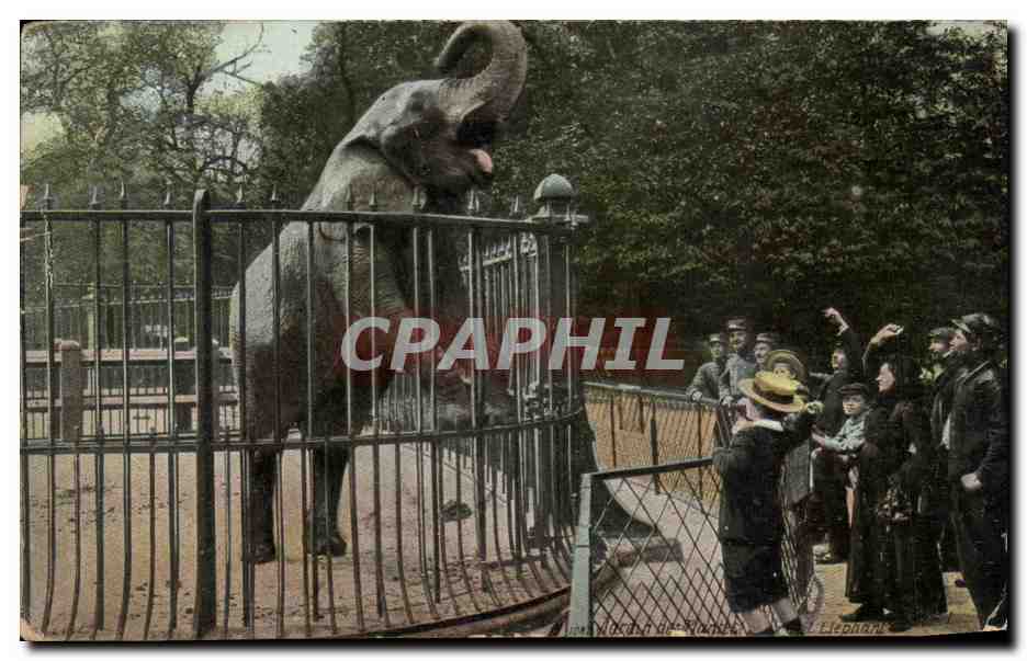 CPA Paris Elephant Paris Jardin des plantes