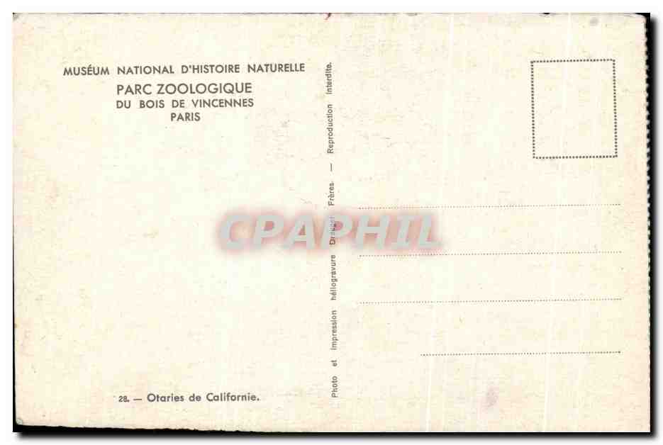 CPA Paris Zoologique Du Bois De Vincennes Paris Otaries de Californie — Verso