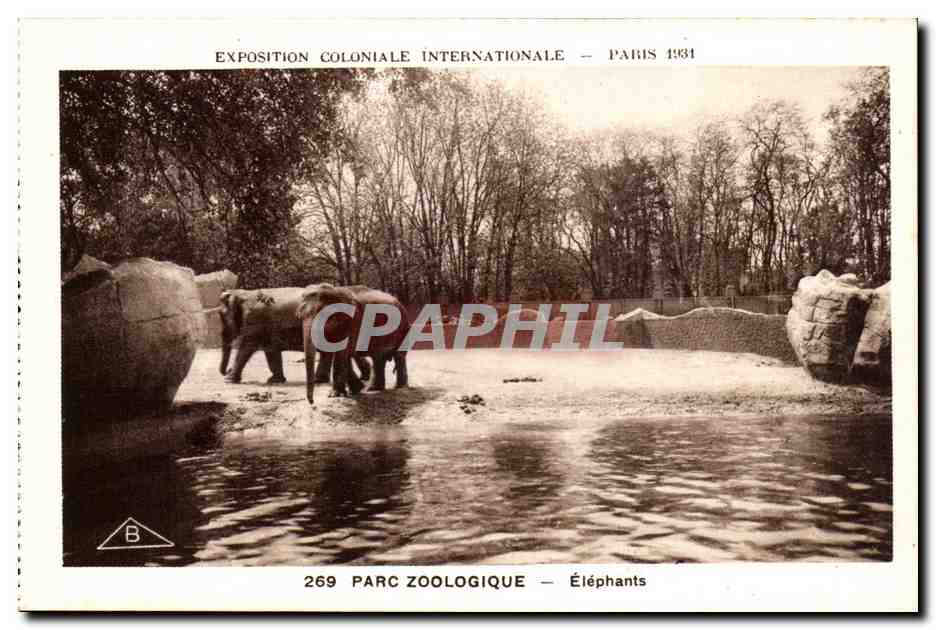 CPA Expostion Coloniale Internationale Paris Parc Zoologique Elephants