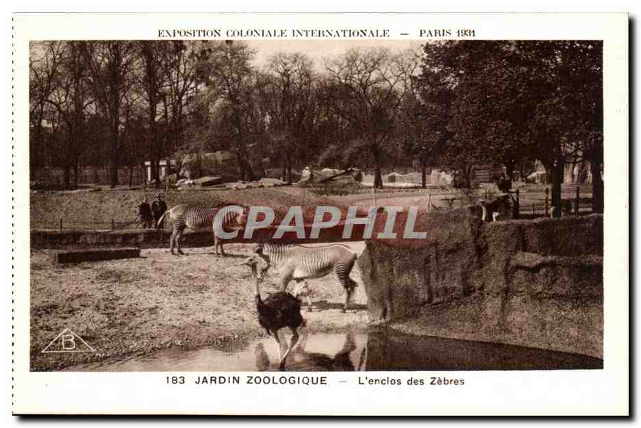 CPA Expostion Coloniale Internationale Paris Parc Zoologique L'Enclos des Zebres autruche
