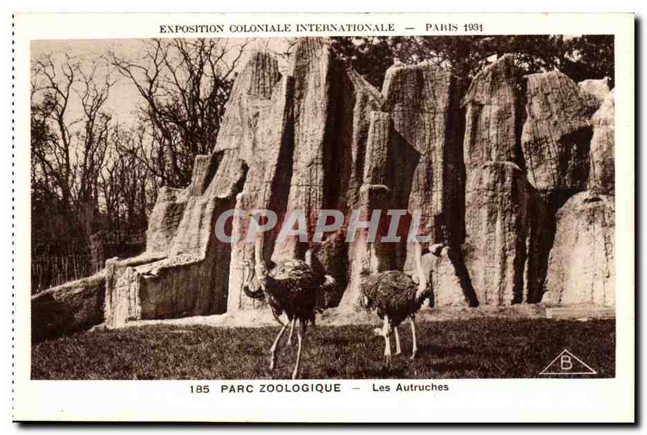 CPA Expostion Coloniale Internationale Paris Parc Zoologique les Autruches