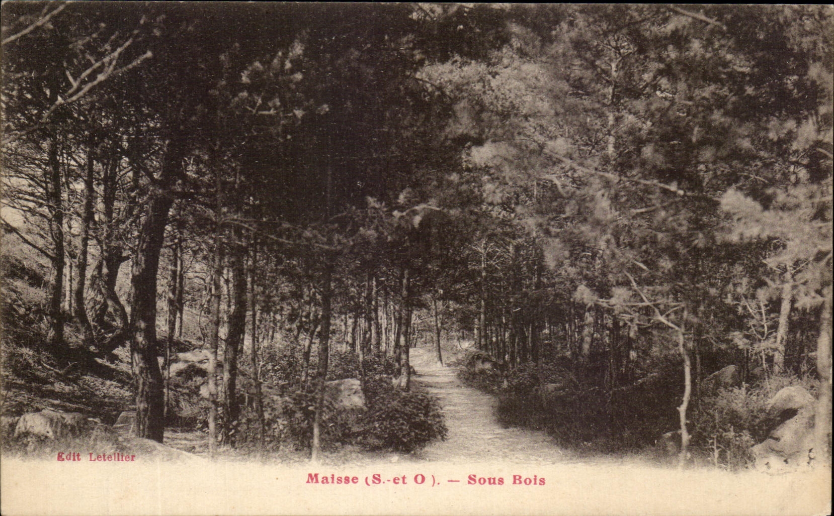 Maisse (S.-et-O.) — Sous Bois — Edit Letellier