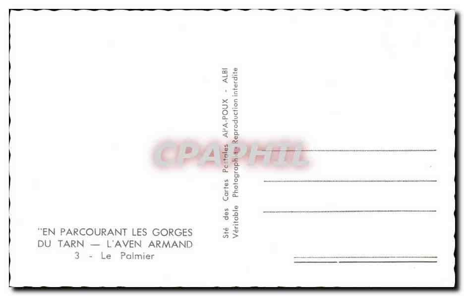 CPA En Parcourant Les Gorges Du Tarn L'Aven Armand Le Palmier — Rückseite