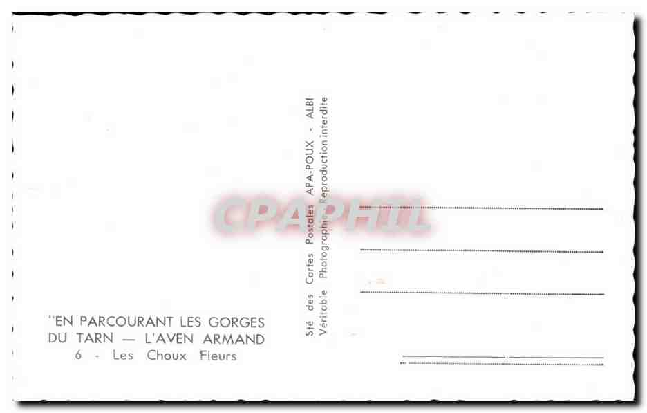 Les Choux Fleurs — Gorges du Tarn — L'Aven Armand — APA-POUX — Reverso