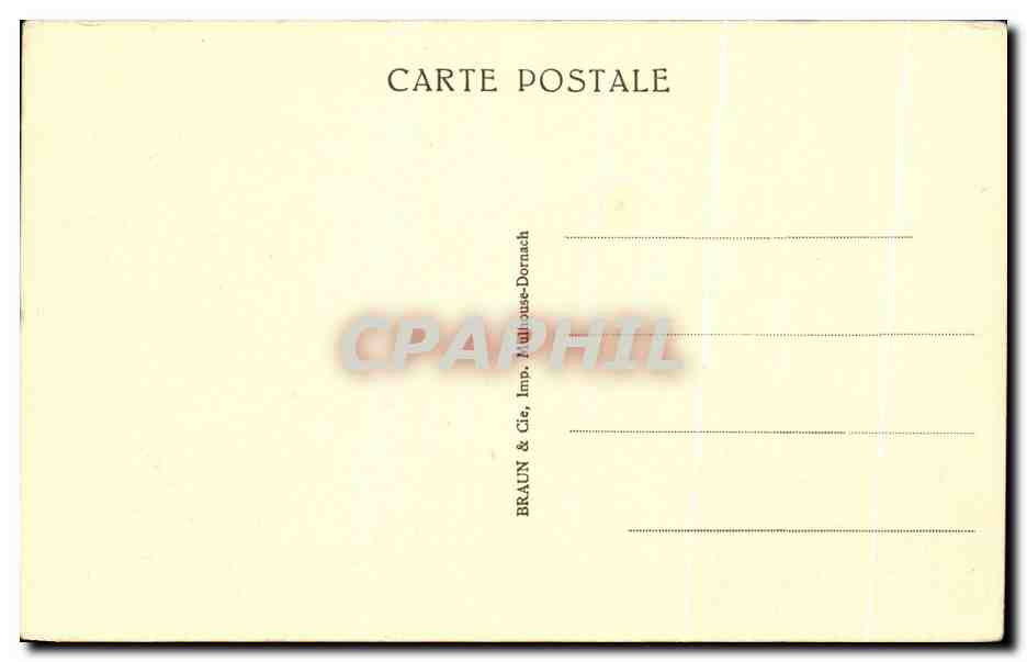 La Croix (Var) — Environs de la Villa St-Michel — Les pins au bord de la mer — Reverso