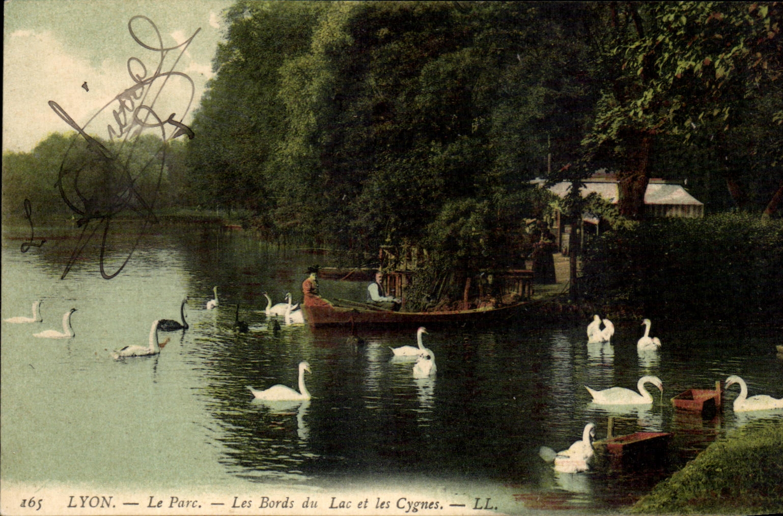 LYON — Le Parc — Les Bords du Lac et les Cygnes — LL. — N° 165