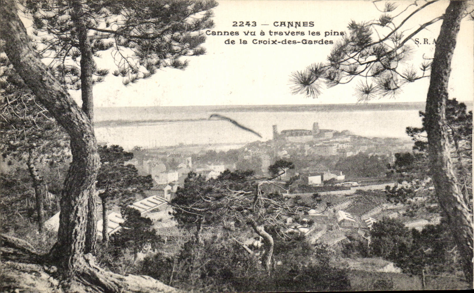 CPA Cannes Vu a Travers Les Pins De La Croix Des Gardes