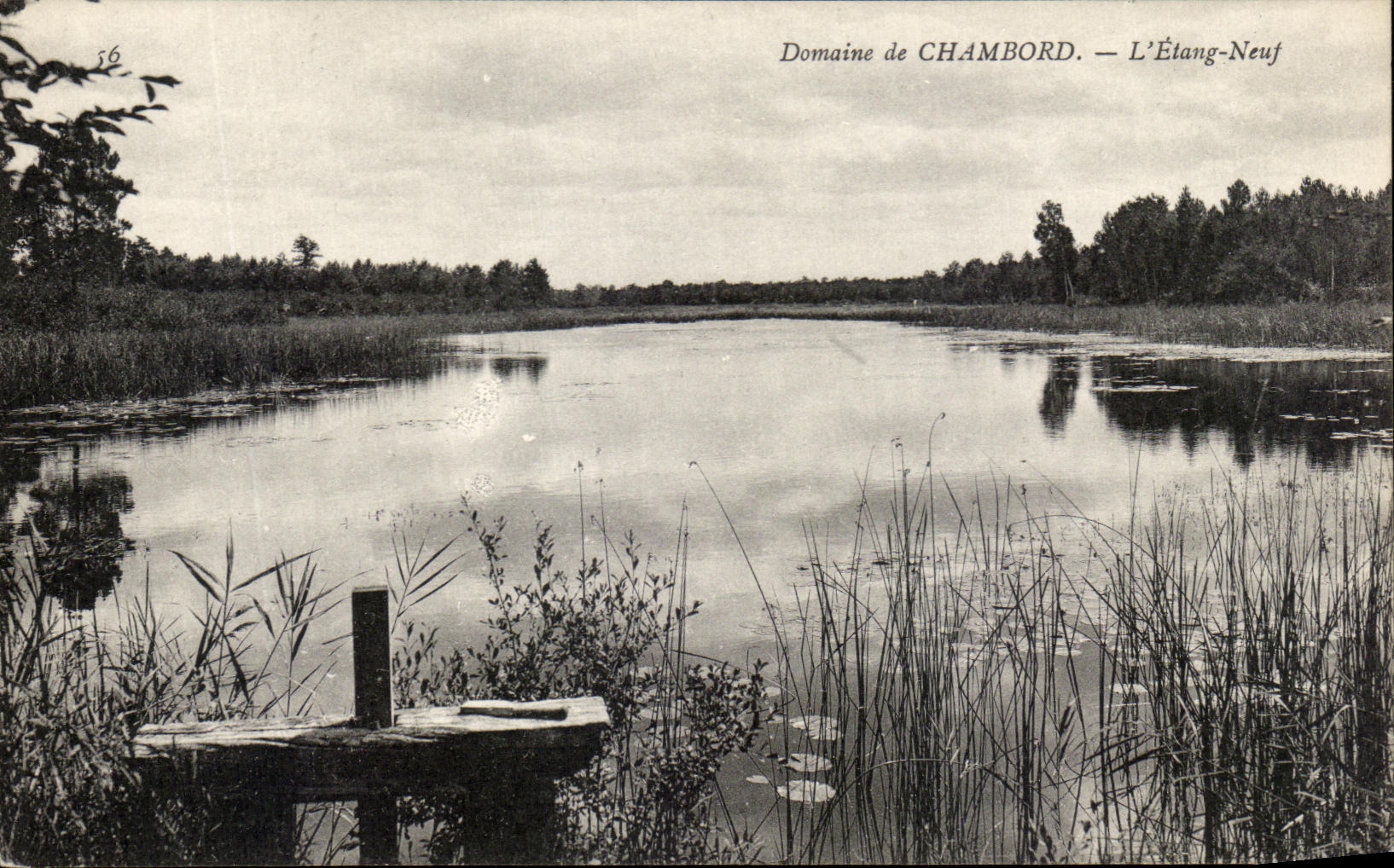 CPA Domaine De Chambord L'Etang Neuf