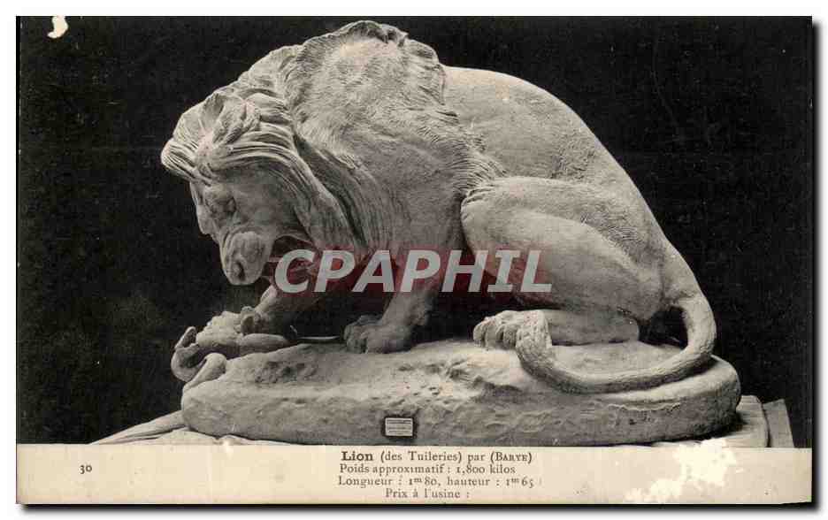 CPA Lion Edmond Coignet Rue de lonres paris 