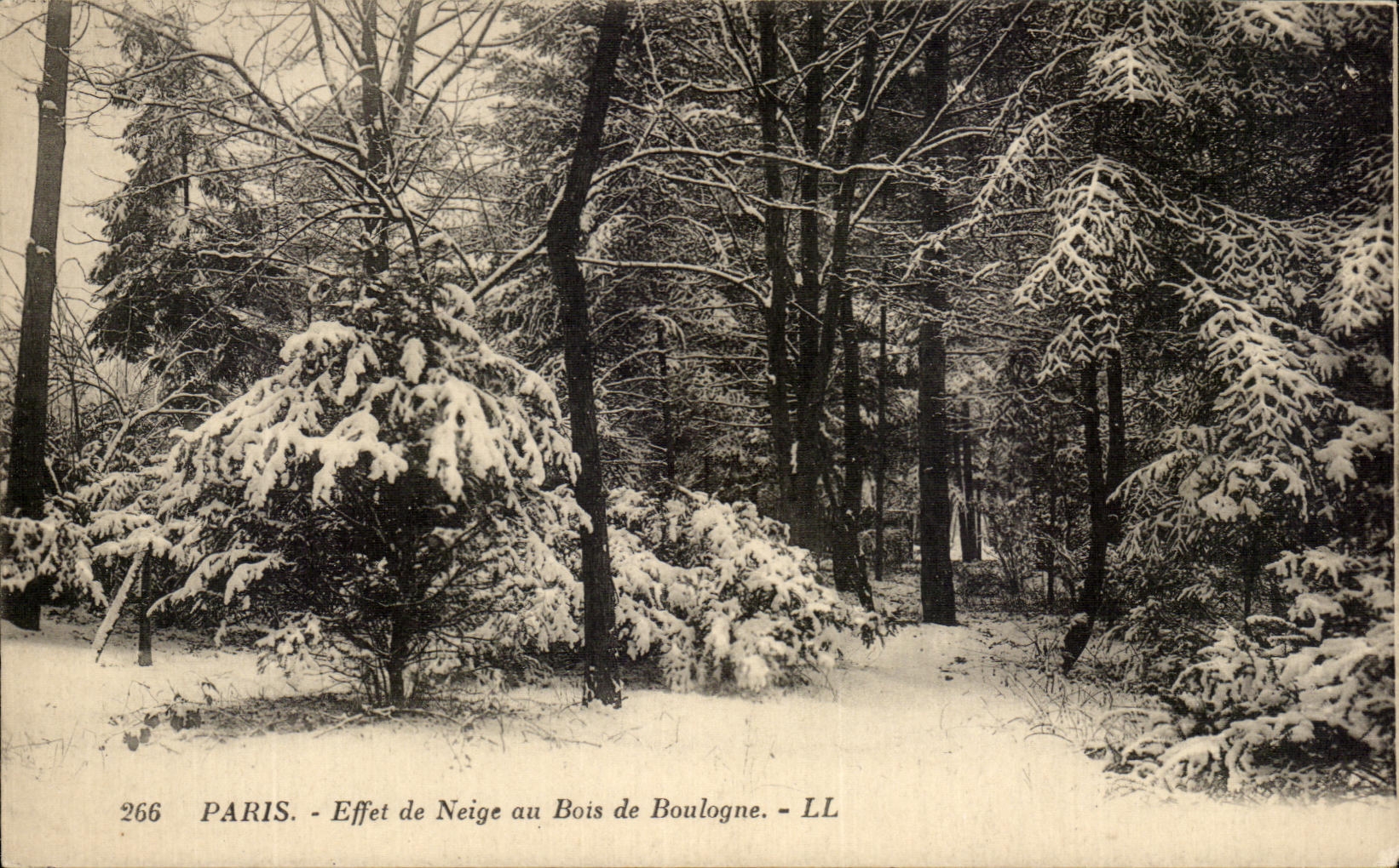 CPA Paris Effet De Neige au Bois De Boulogne