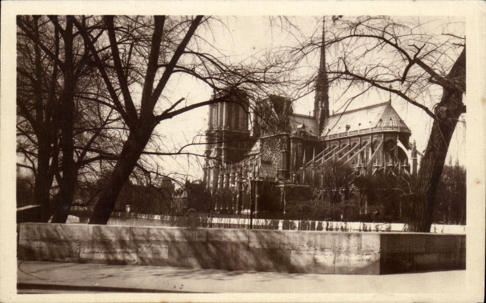 CPA Paris La Cathedrale de Notre Dame 