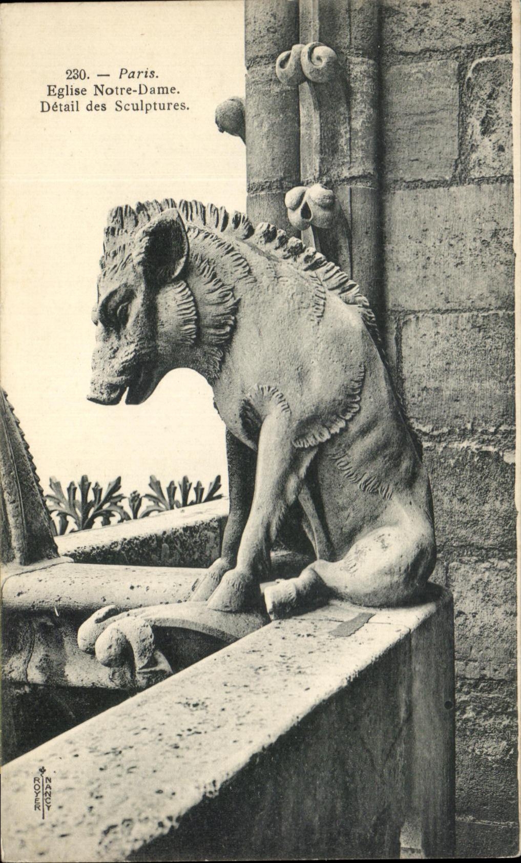 CPA Paris Eglise Notre Dame Detail Des Sculptures Gargouille Sanglier 