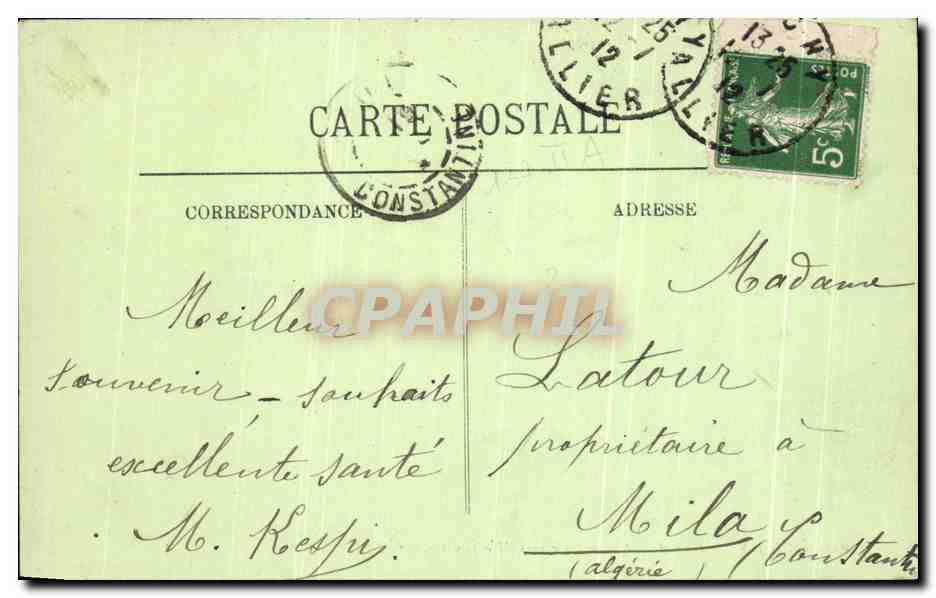 CPA Vichy Coin de I'Ancien Parc vers I'Horticulture Cygnes — Verso