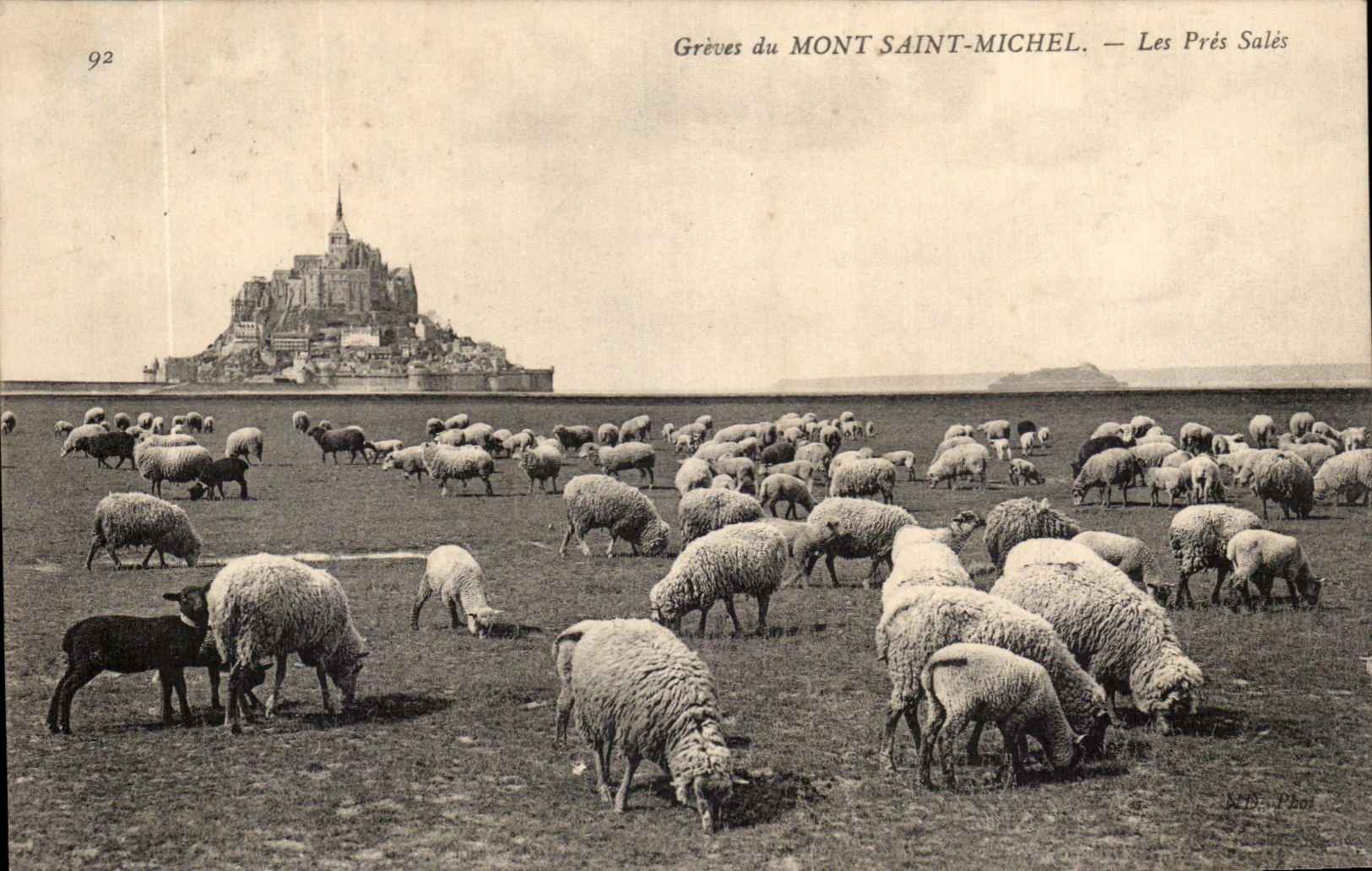 CPA Greves Du Mont Saint Michel Les Pres Sales Moutons 