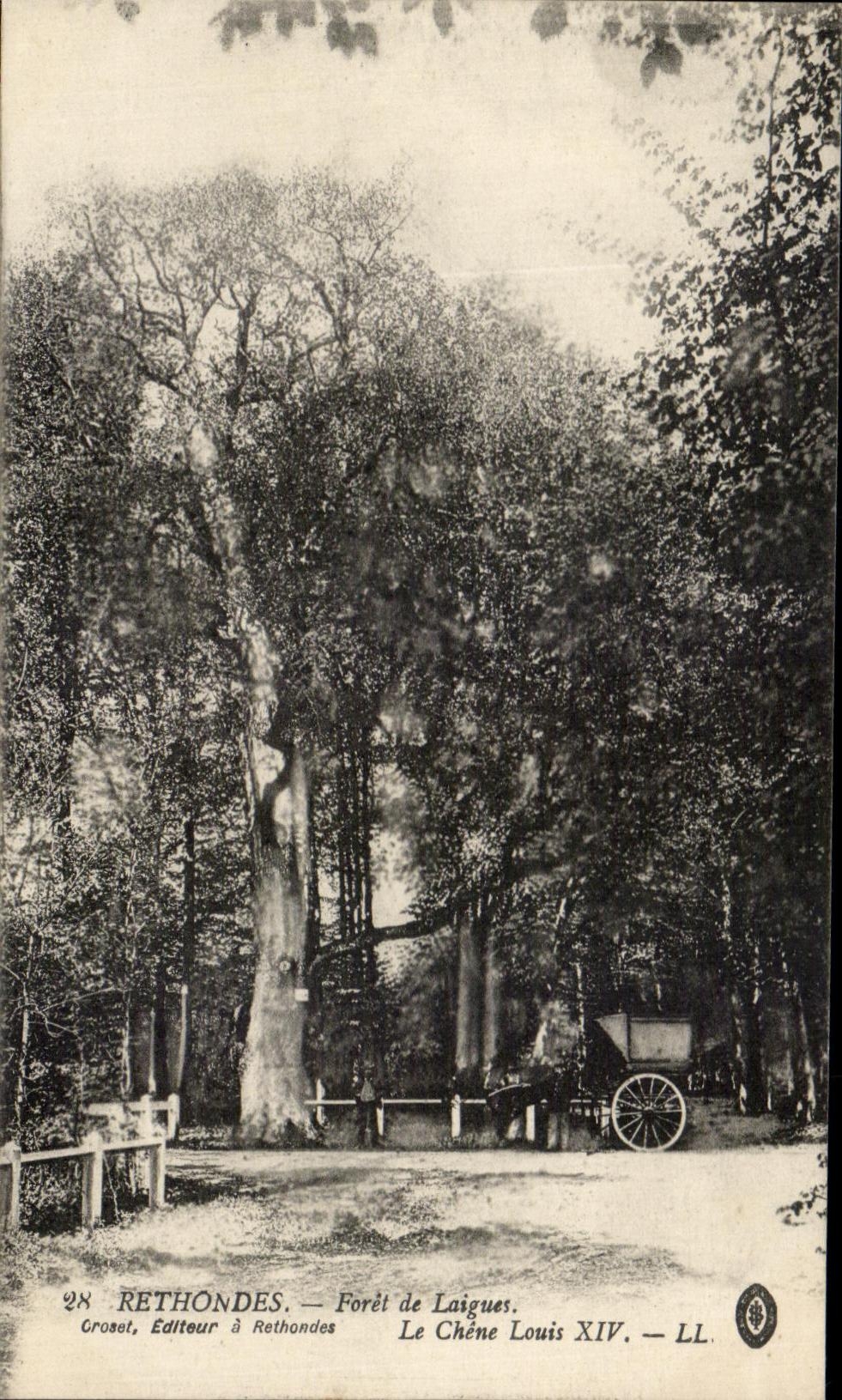 Rethondes — Forêt de Laigues. Le Chêne Louis XIV — Croset, Éditeur à Rethondes