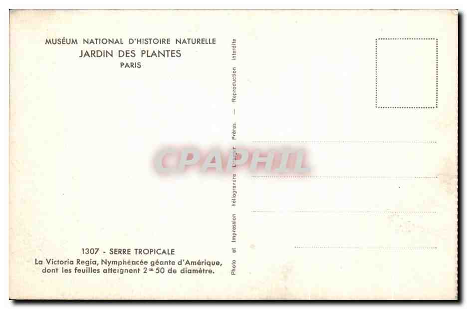 CPA Museum National D'Histoire Naturelle Jardin Des Plantes Paris Serre tropicale La Victori Regia Nympheacee geante  — Rückseite