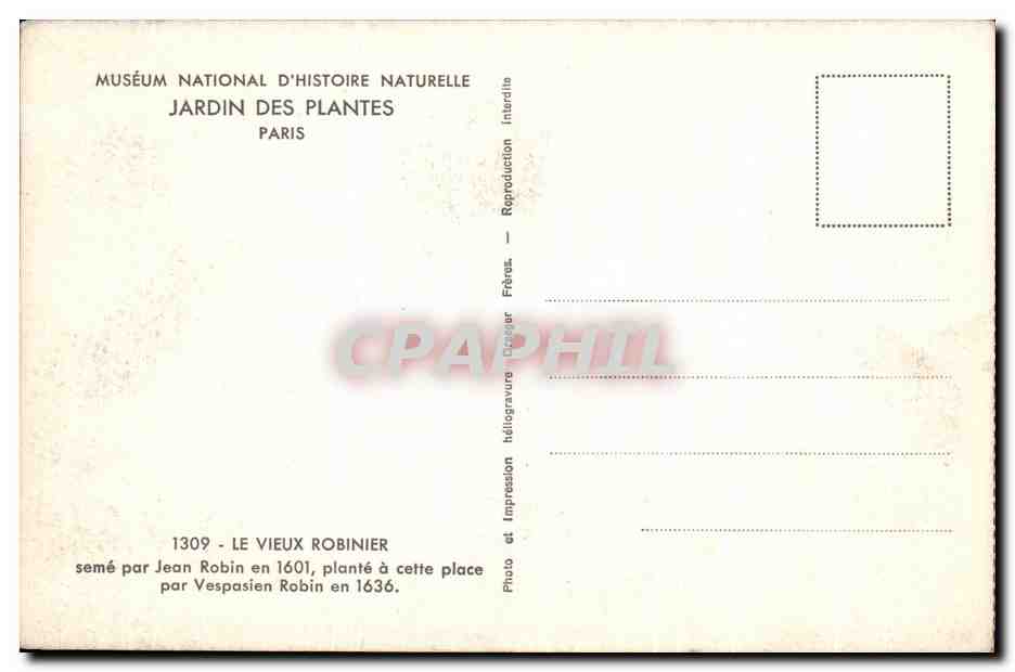 CPA Museum National D'Histoire Naturelle Jardin Des Plantes Paris Le vieux Robinier Jean Robin  — Verso