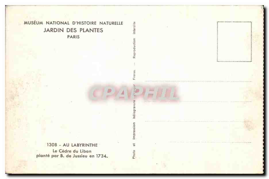 CPA Museum National D'Histoire Naturelle Jardin Des Plantes Paris Au labyrinthe Le cedre du Liban plante en 1734 — Verso