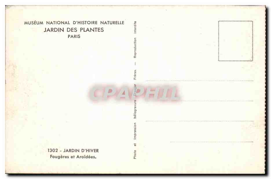 CPA Museum National d'Histoire Naturelle Jardin Des Plantes Paris Jardin d'hiver Fougeres et Aroidees — Verso