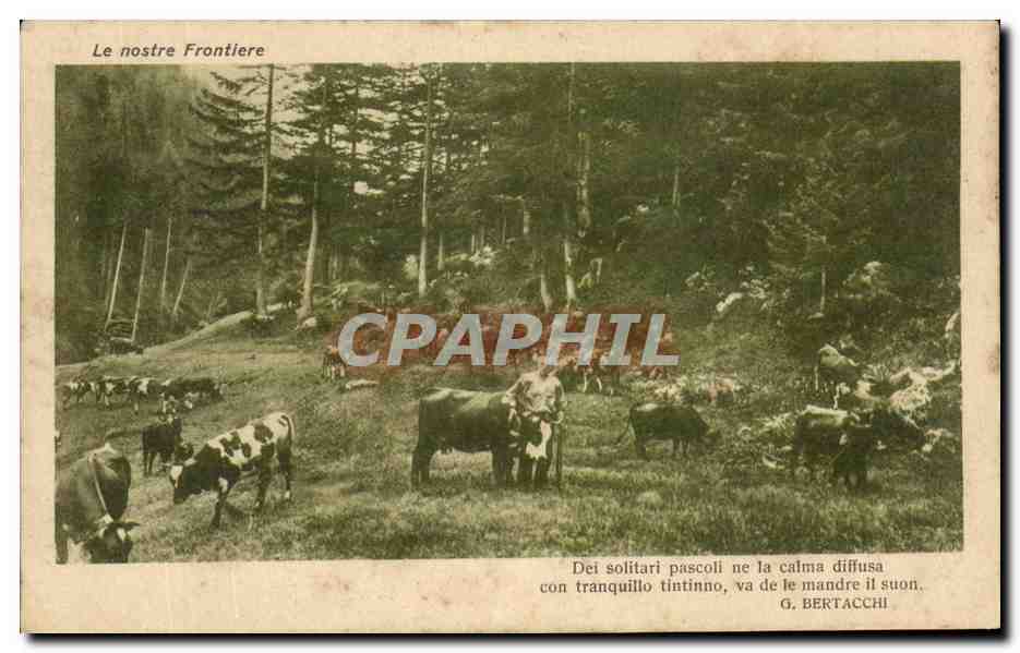 CPA Le nostre Frontiere Berger Vaches