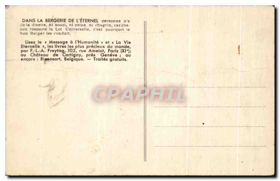 CPA Une bergere qui aime son troupeau — Rückseite