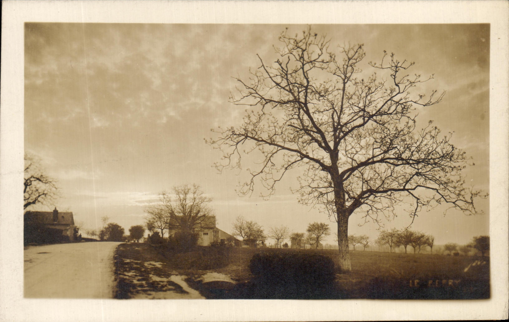 CPA Paysage Arbre 