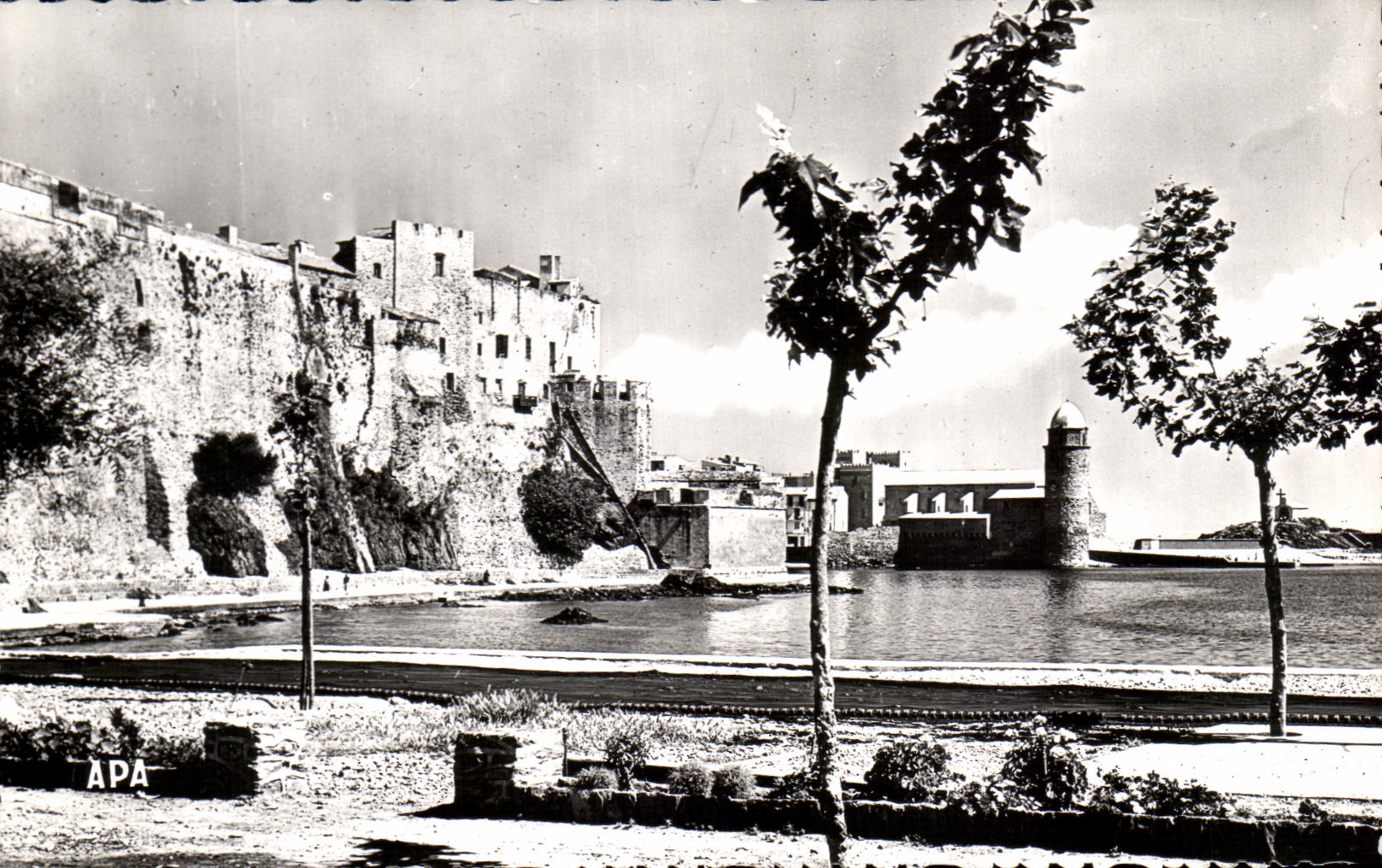 CPA Collioure Vue Generale sur le Chateau Fort et I'Eglise
