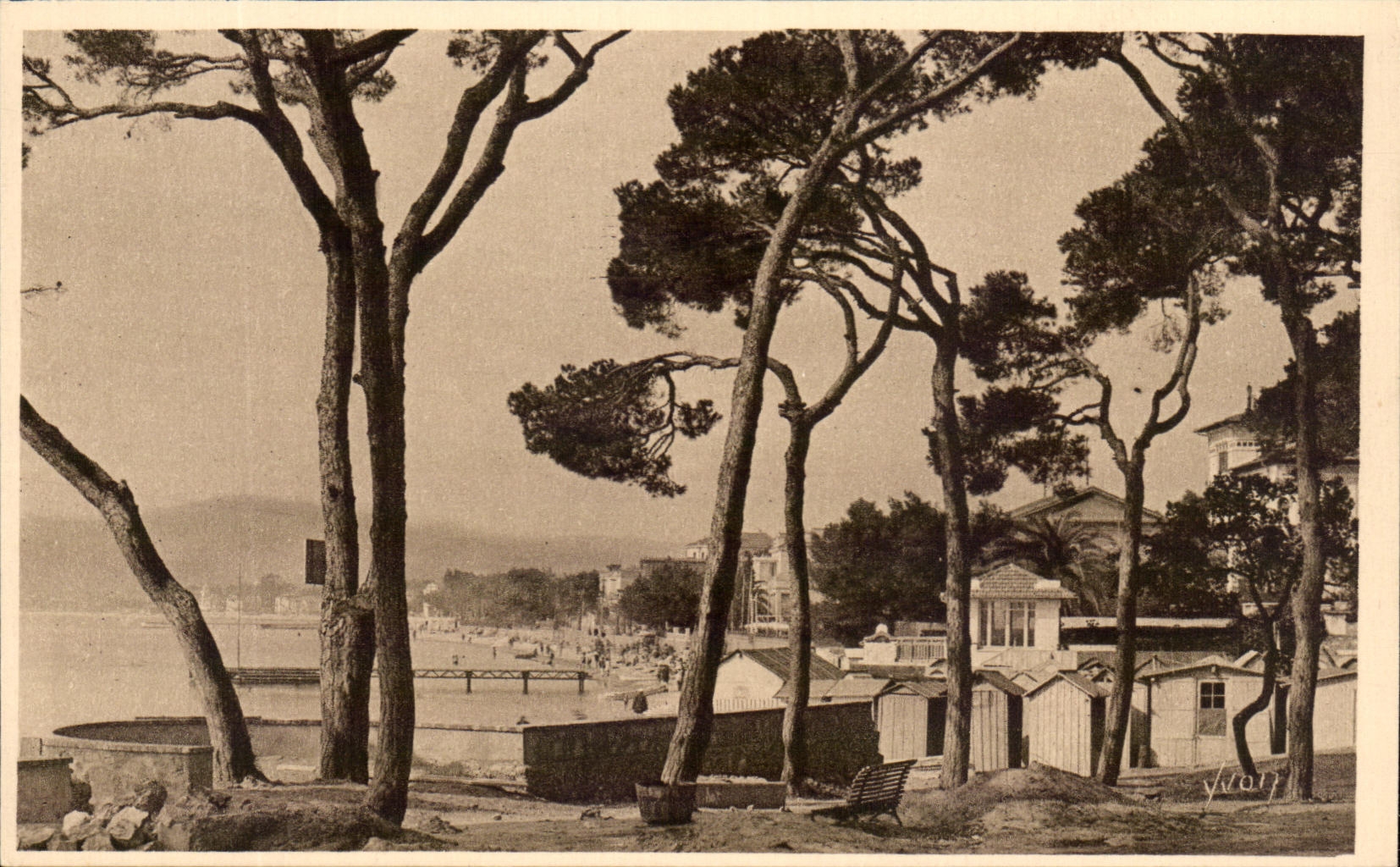 CPA La Douce Cote D'Azur Juan Les Pins La Plage Vue A Travers Les Pins