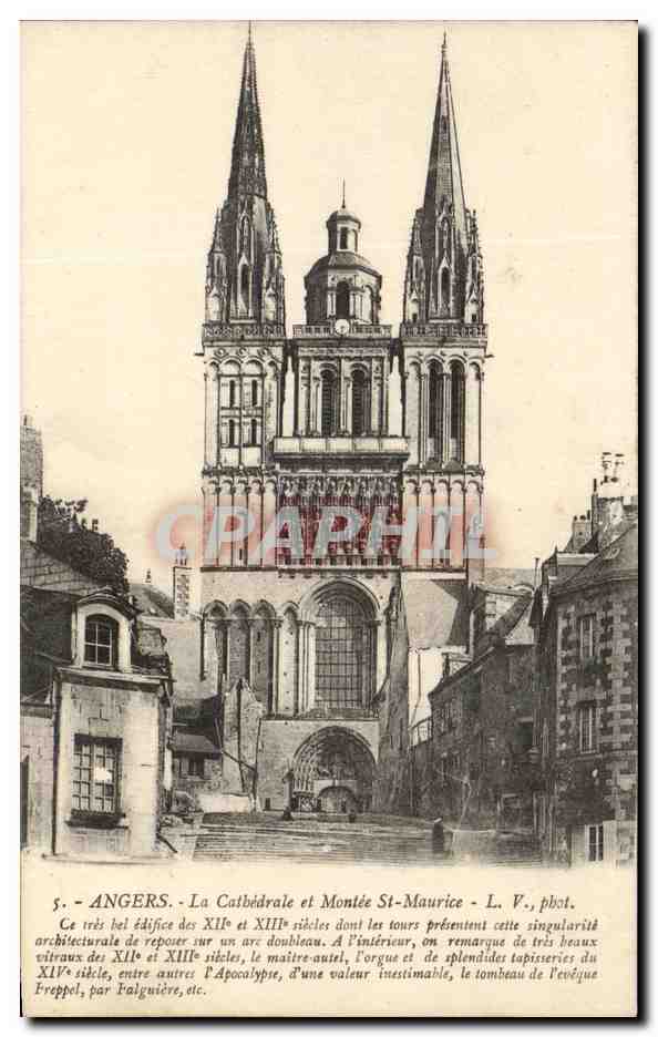 CPA Angers La Cathedrale Et Montee St Maurice
