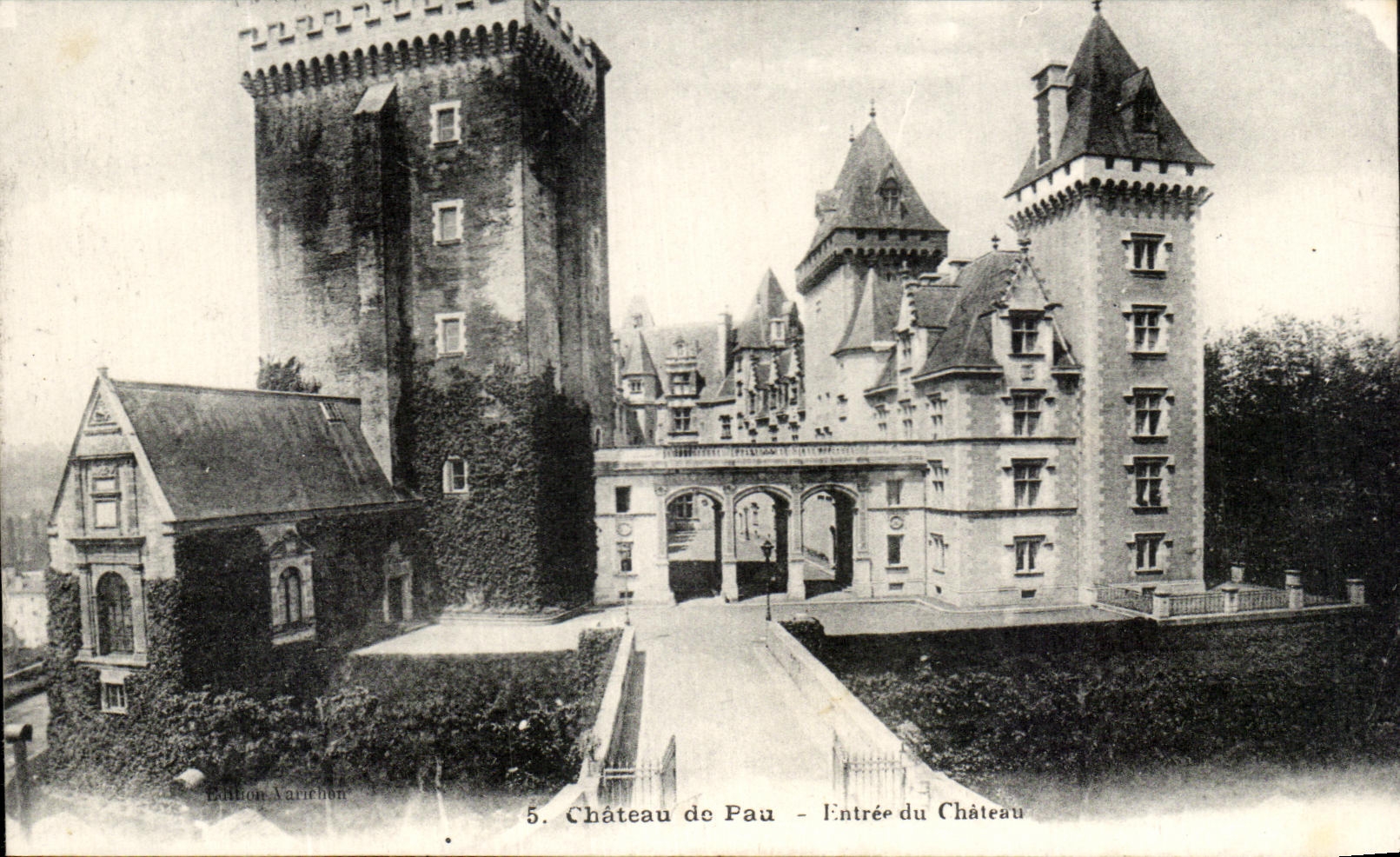 CPA Chateau de Pau Entree du Chateau