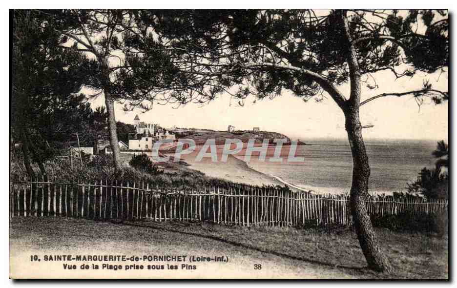 CPA Sainte Marguerite De Pornichet Vue De La Plage Prise Sous Les Pins