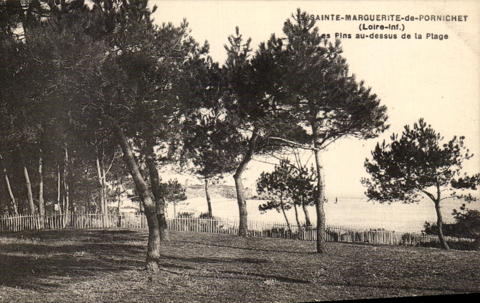 CPA Sainte Marguerite De Pornichet Les Pins Au Dessus De La Plage