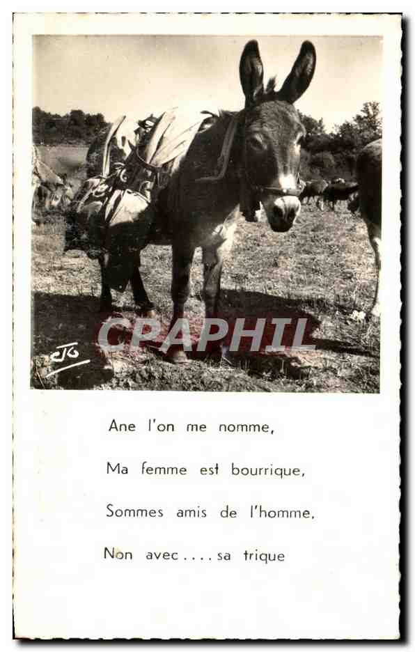 CPA Ane l'on me Nomme Ma Femme est bourrique Sommes amis de l'homme Non avec Sa trique