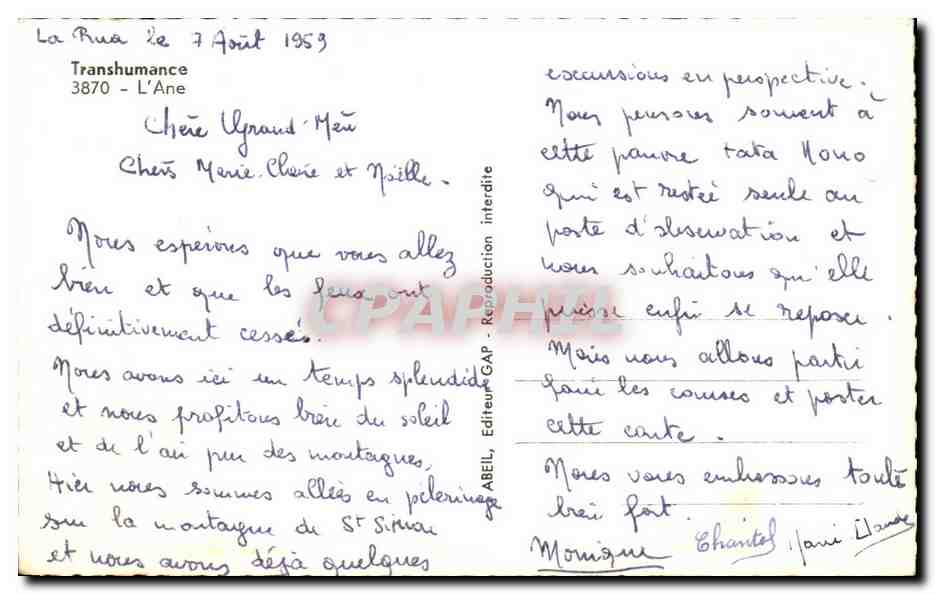 CPA Ane l'on me Nomme Ma Femme est bourrique Sommes amis de l'homme Non avec Sa trique — Rückseite