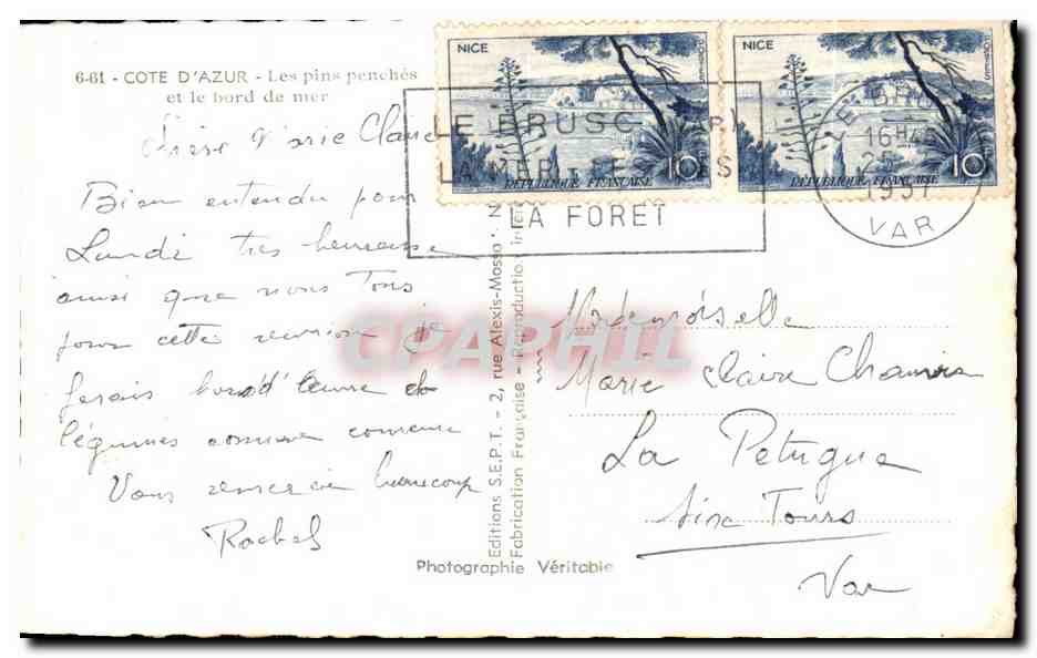 CPA Nice Cote D'Azur Les pins Penches Et le Bord De mer — Verso