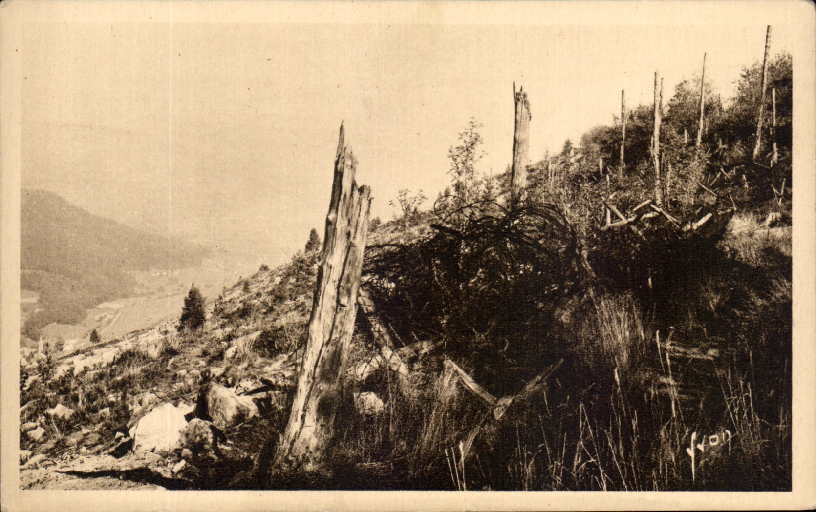 Le Linge (Haut-Rhin) — Un coin des anciennes Tranchées et la Vallée d'Orbey — Les Éditions d'Art Vveuil, Paris