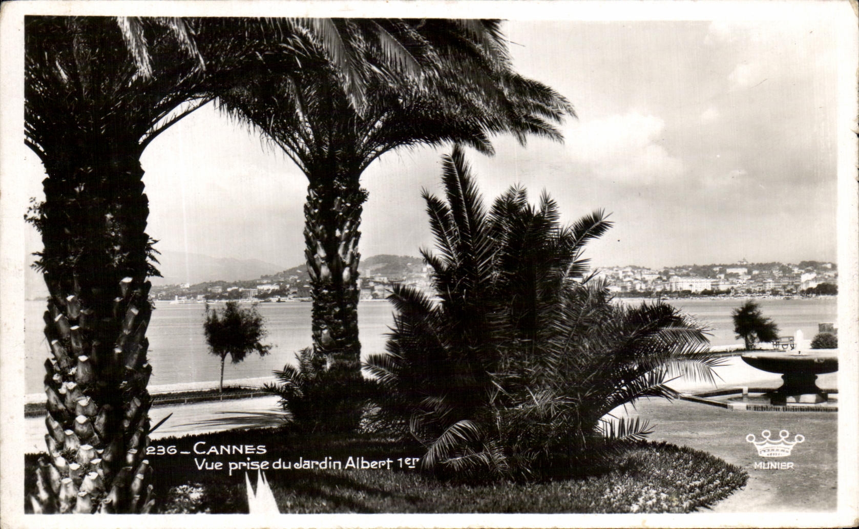 CPA Cannes Vue prise du Jardin Albert 1er