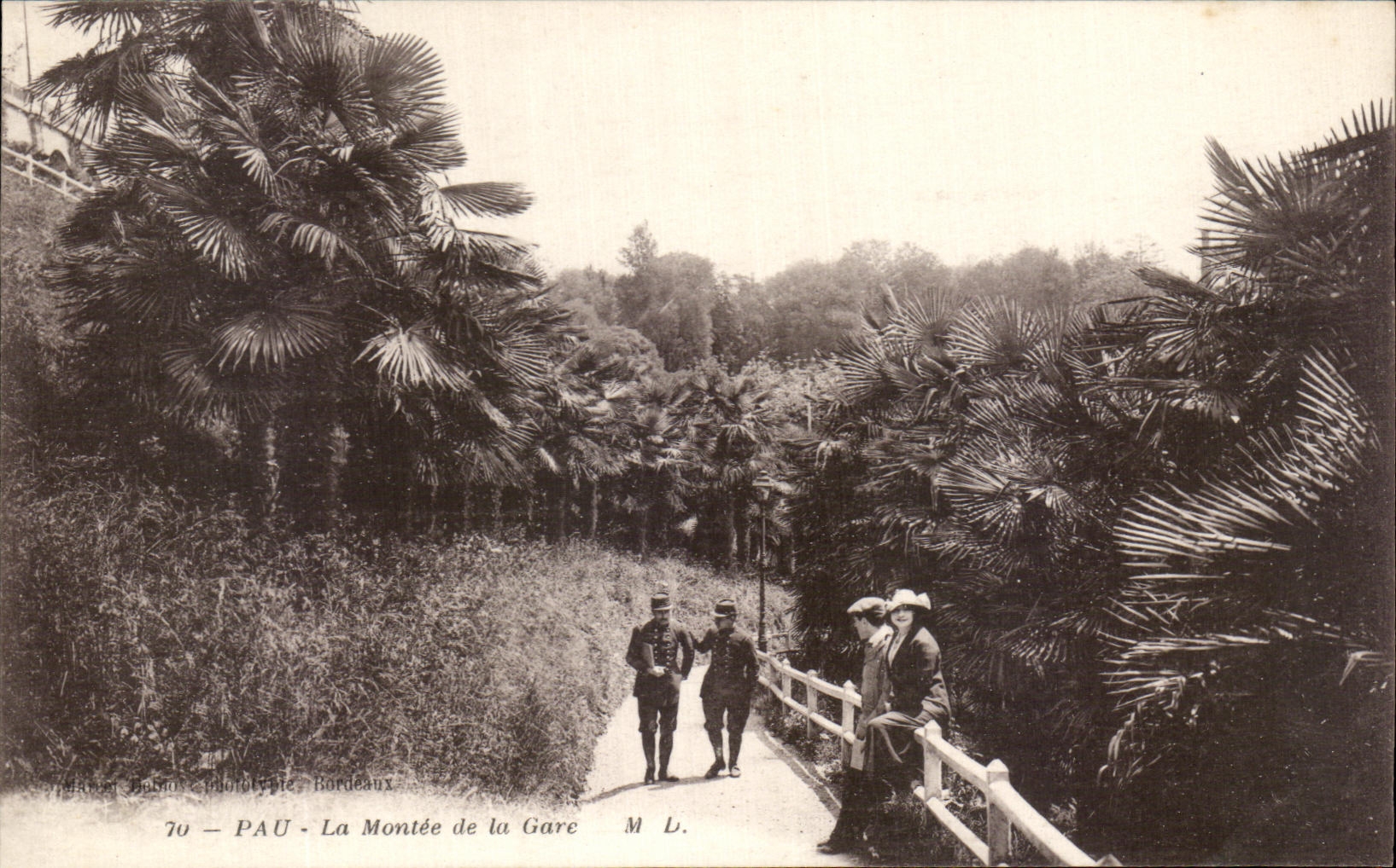 PAU - La Montée de la Gare — Photographie de la montée bordée de palmiers — éditeur M. L. (n° 70)