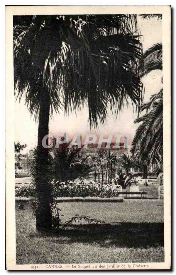 CPA Cannes Le Suquet vu des Jardins de la Croisette