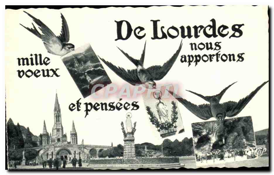 CPA De Lourdes Hirondelles