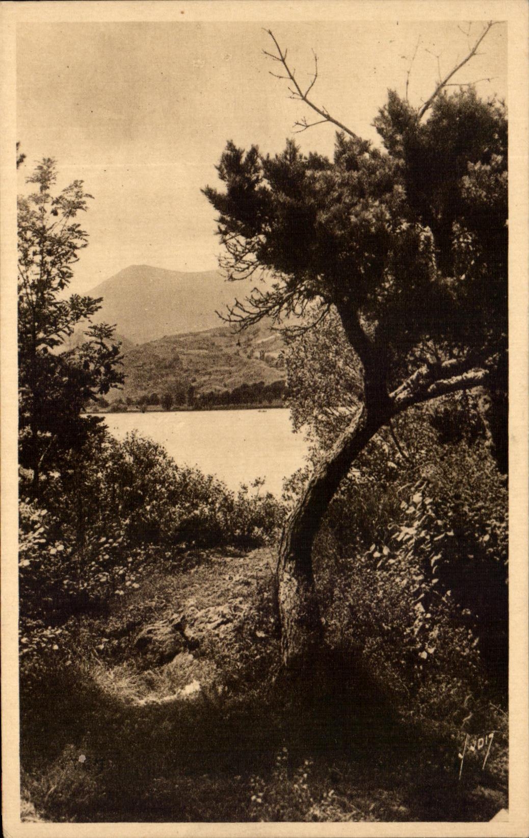 CPA Environs du Mont Dore Le Lac Chambon