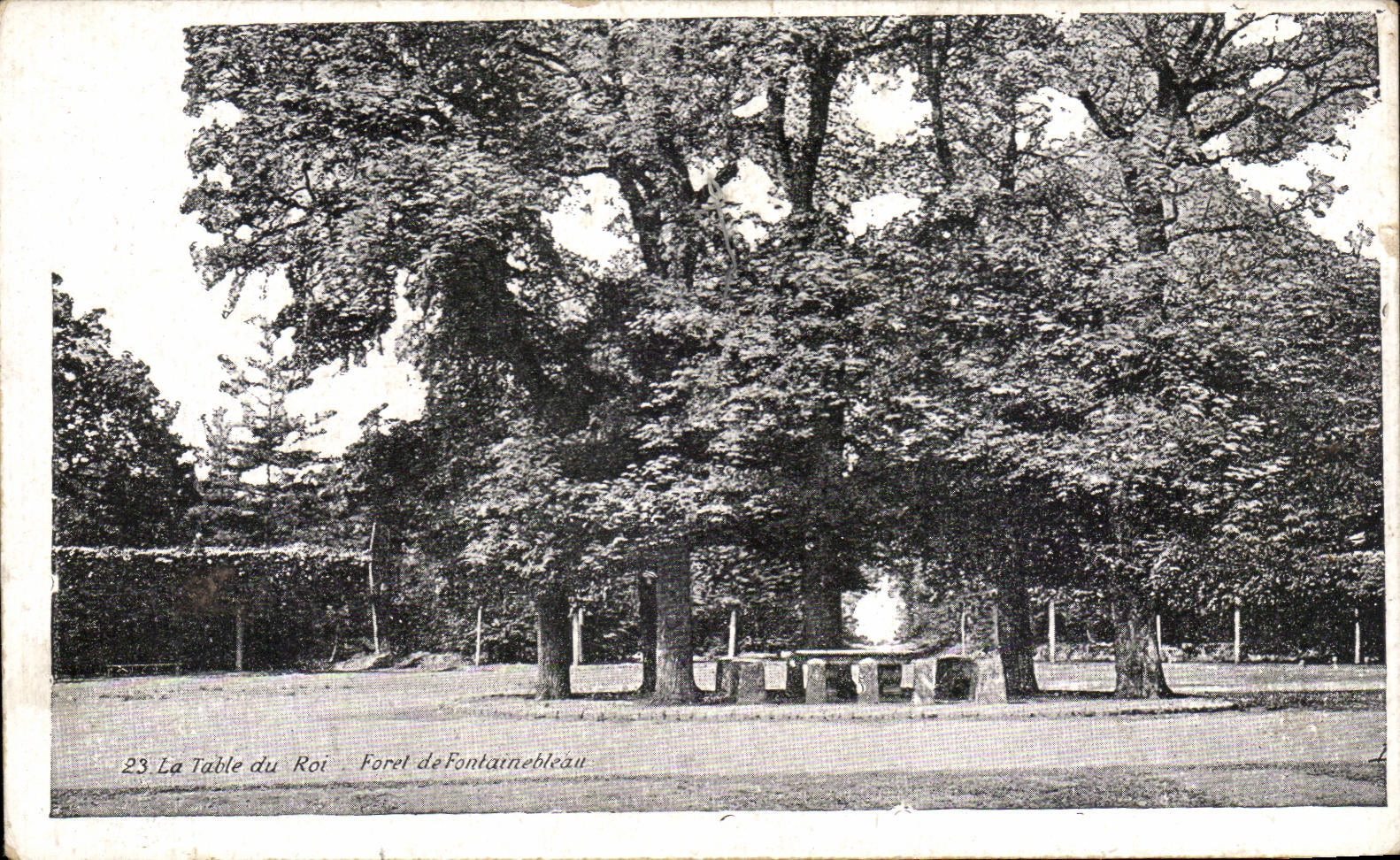 Die Königsplatte — Forêt de Fontainebleau — unbekannter Verlag, Nr. 23
