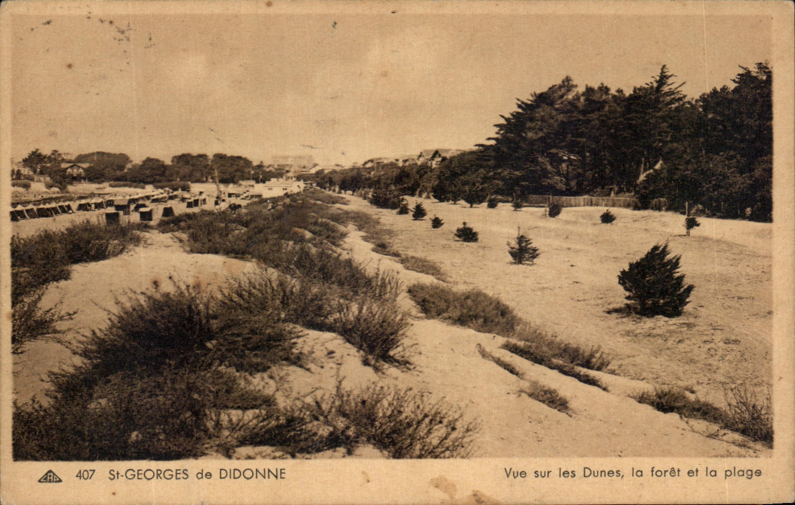 St-Georges de Didonne — Vue sur les Dunes, la forêt et la plage — CPA n°407
