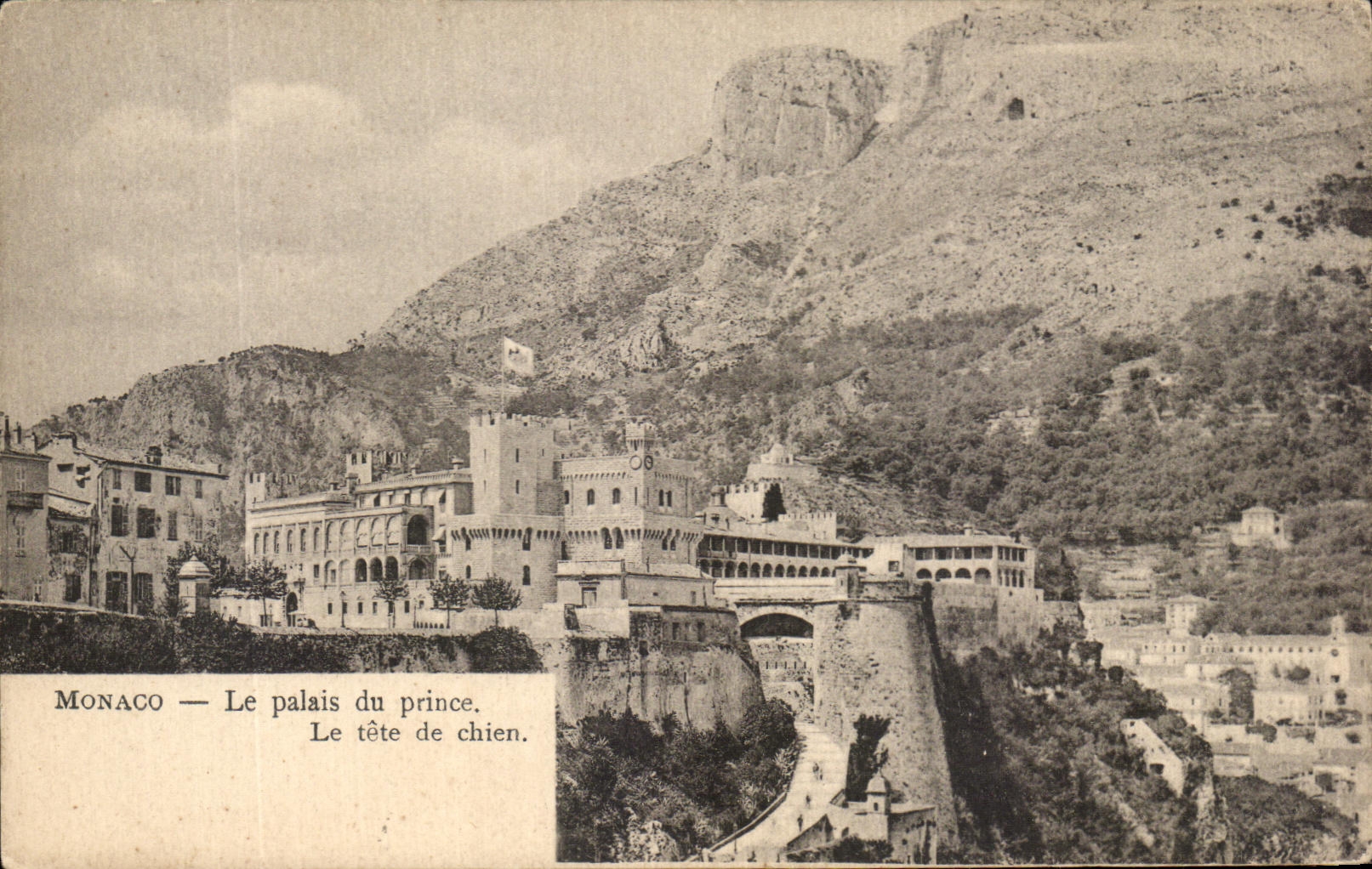 CPA Monaco Le palais Du prince Le tete de chien