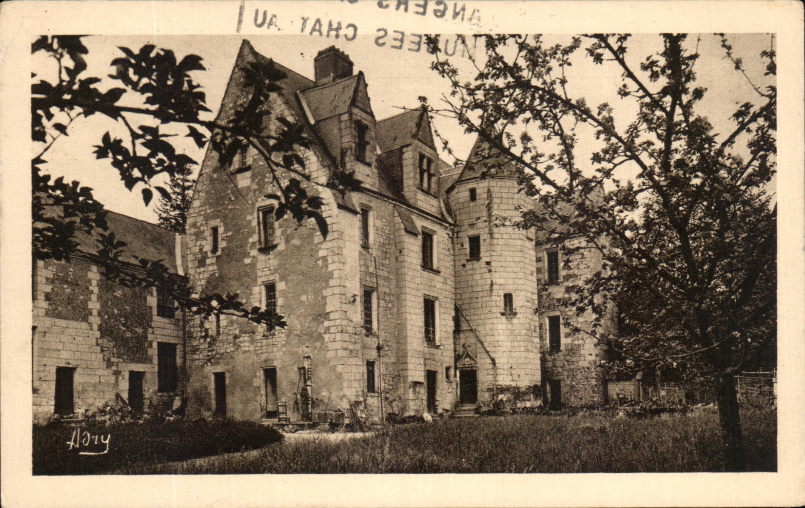 CPA Le Chateaux De La loire Chateau de Candes