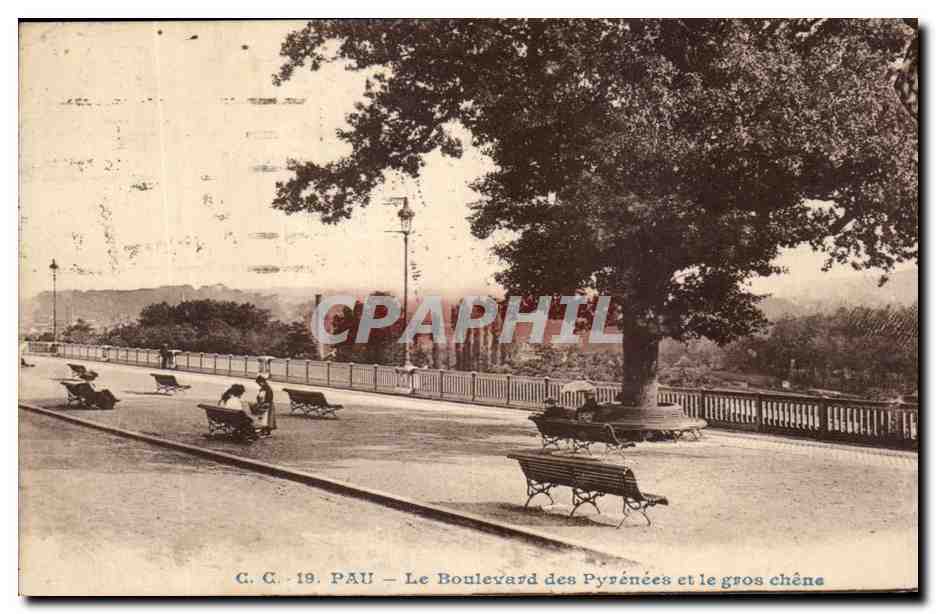 CPA Pau Le boulevard des Pyrenees et le Gros Chene