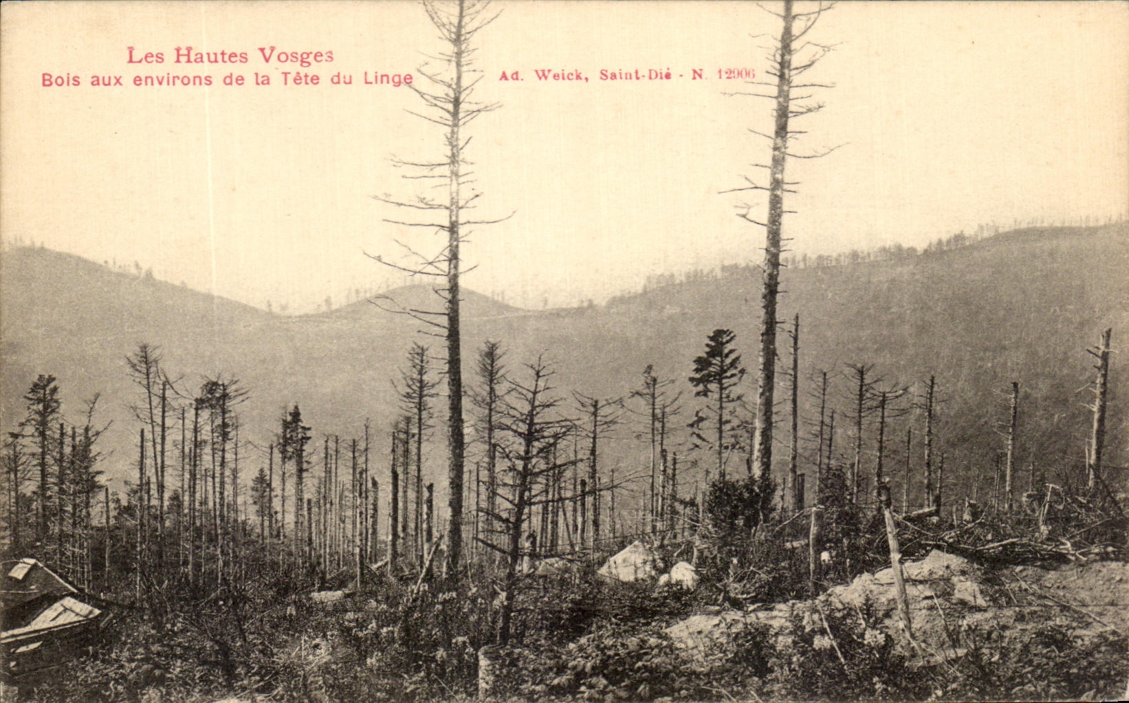 Bois aux environs de la Tête du Linge — Les Hautes Vosges — Ad. Weick, Saint-Dié - N. 12006