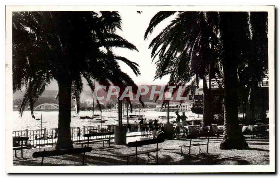 CPA Sainte Maxime Sur Mer Place des Palmiers